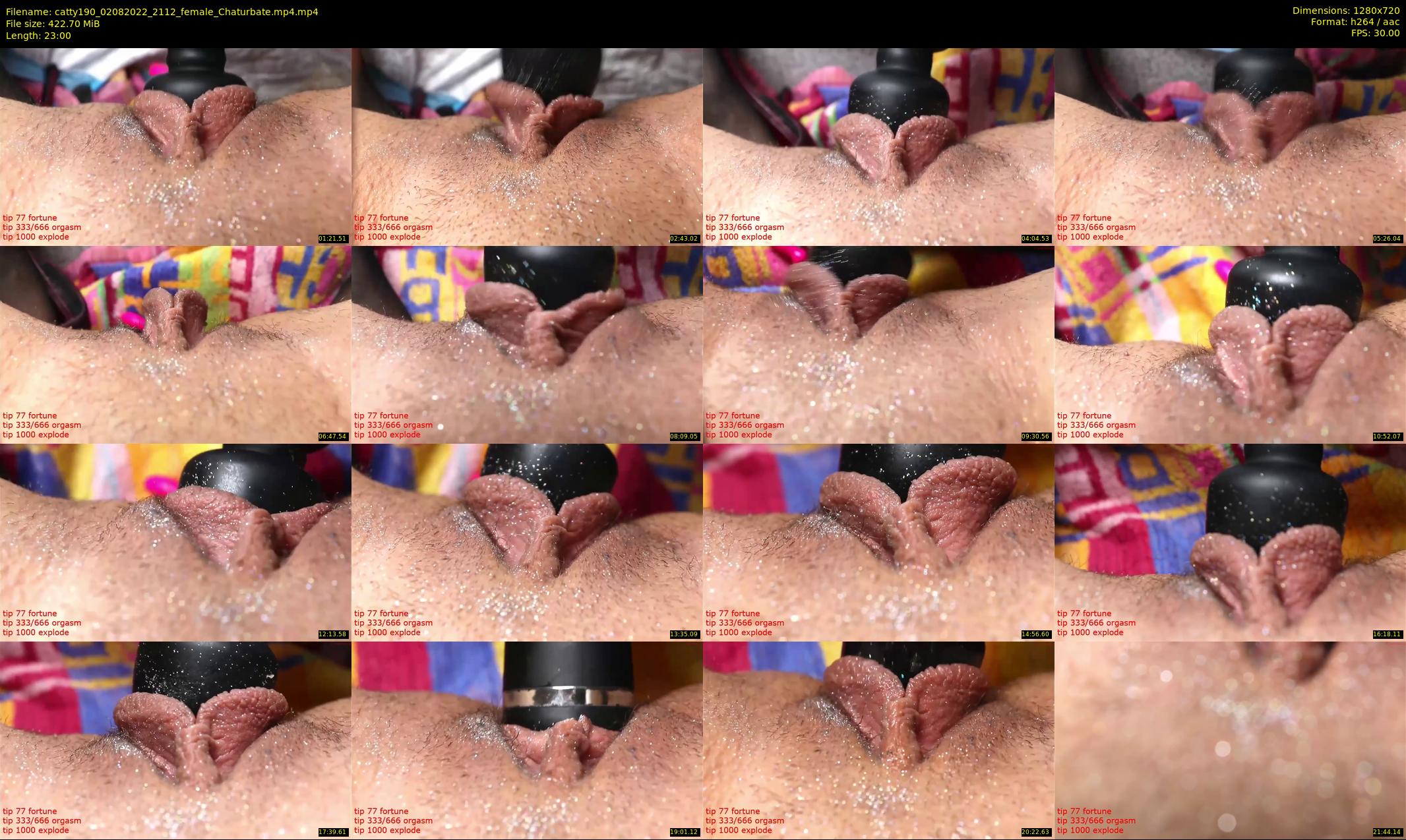 catty190 — 23 minute Chaturbate female cam show recording, 720p, Aug 2, 2022