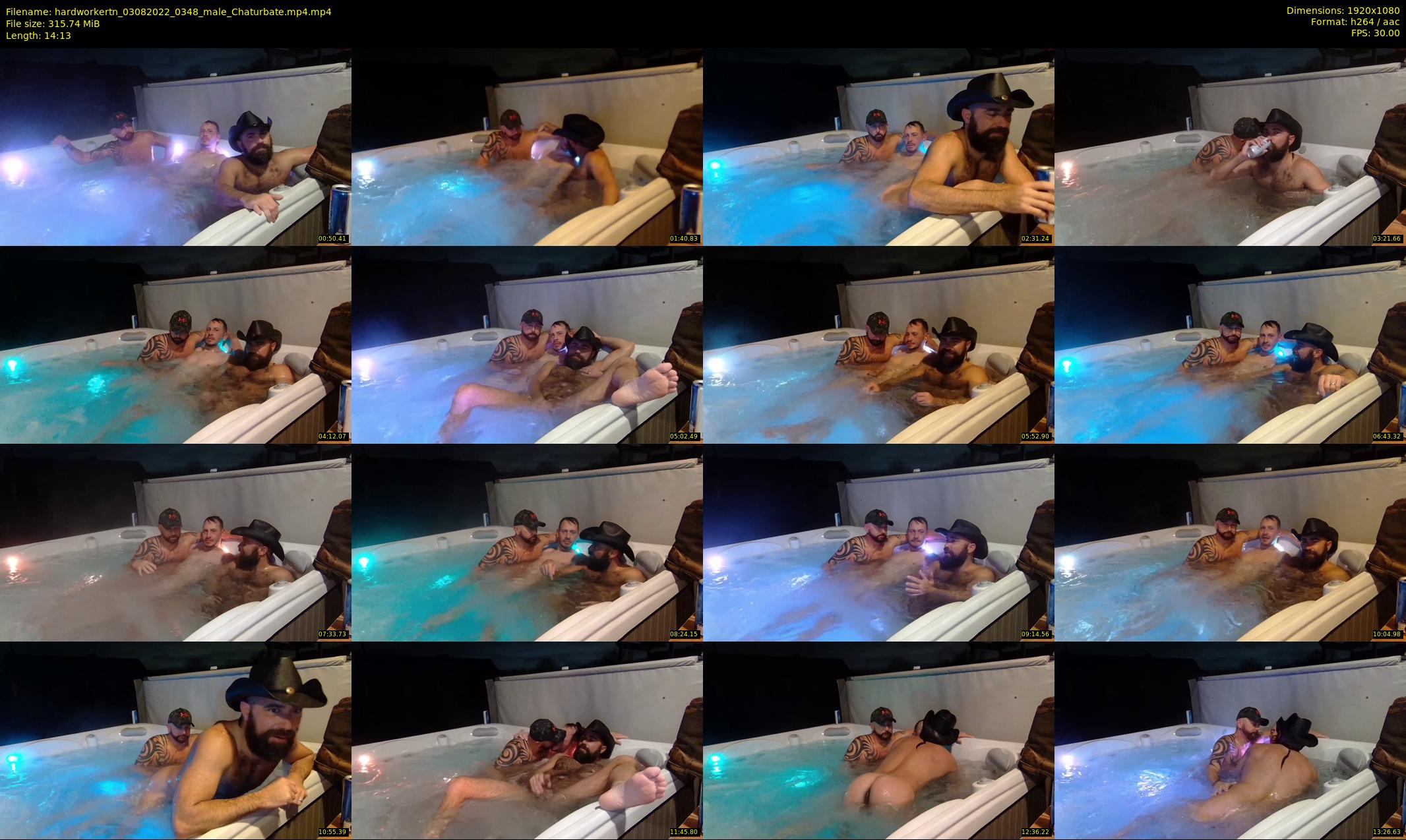 hardworkertn — 15 minute Chaturbate male cam show recording, 1080p, Aug 3, 2022