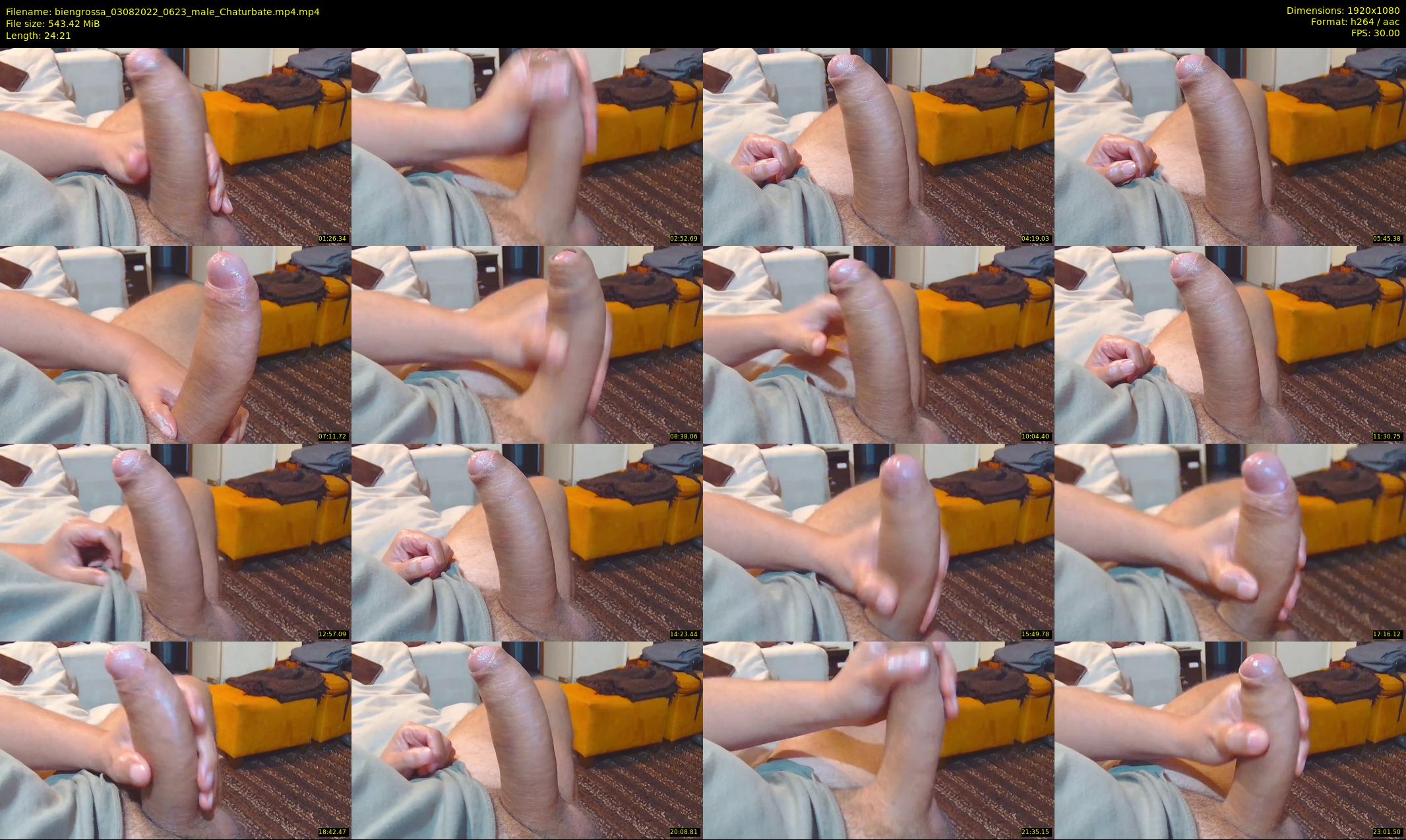 biengrossa — 25 minute Chaturbate male cam show recording, 1080p, Aug 3, 2022