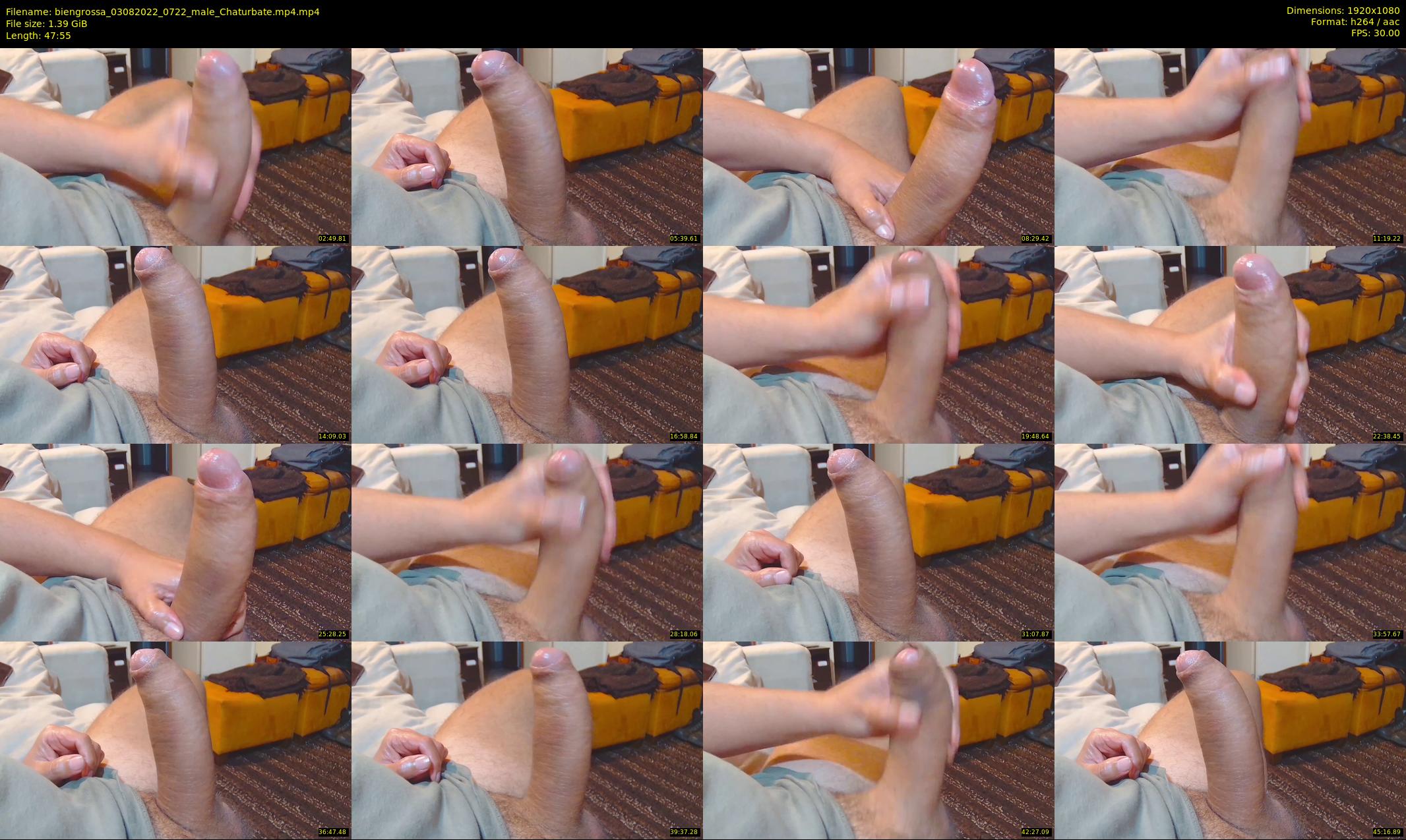 biengrossa — 48 minute Chaturbate male cam show recording, 1080p, Aug 3, 2022