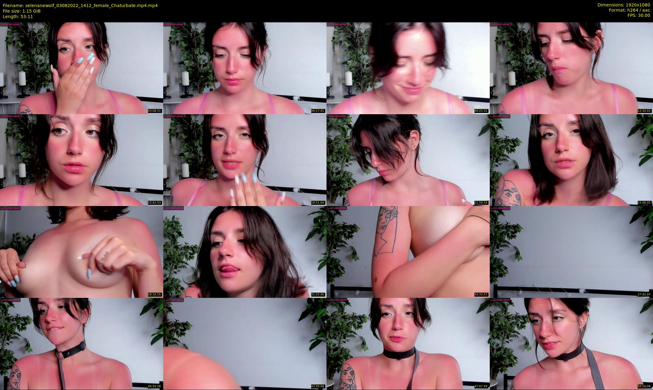 selenanewolf — 54 minute Chaturbate couple cam show recording, 1080p, Aug 3, 2022