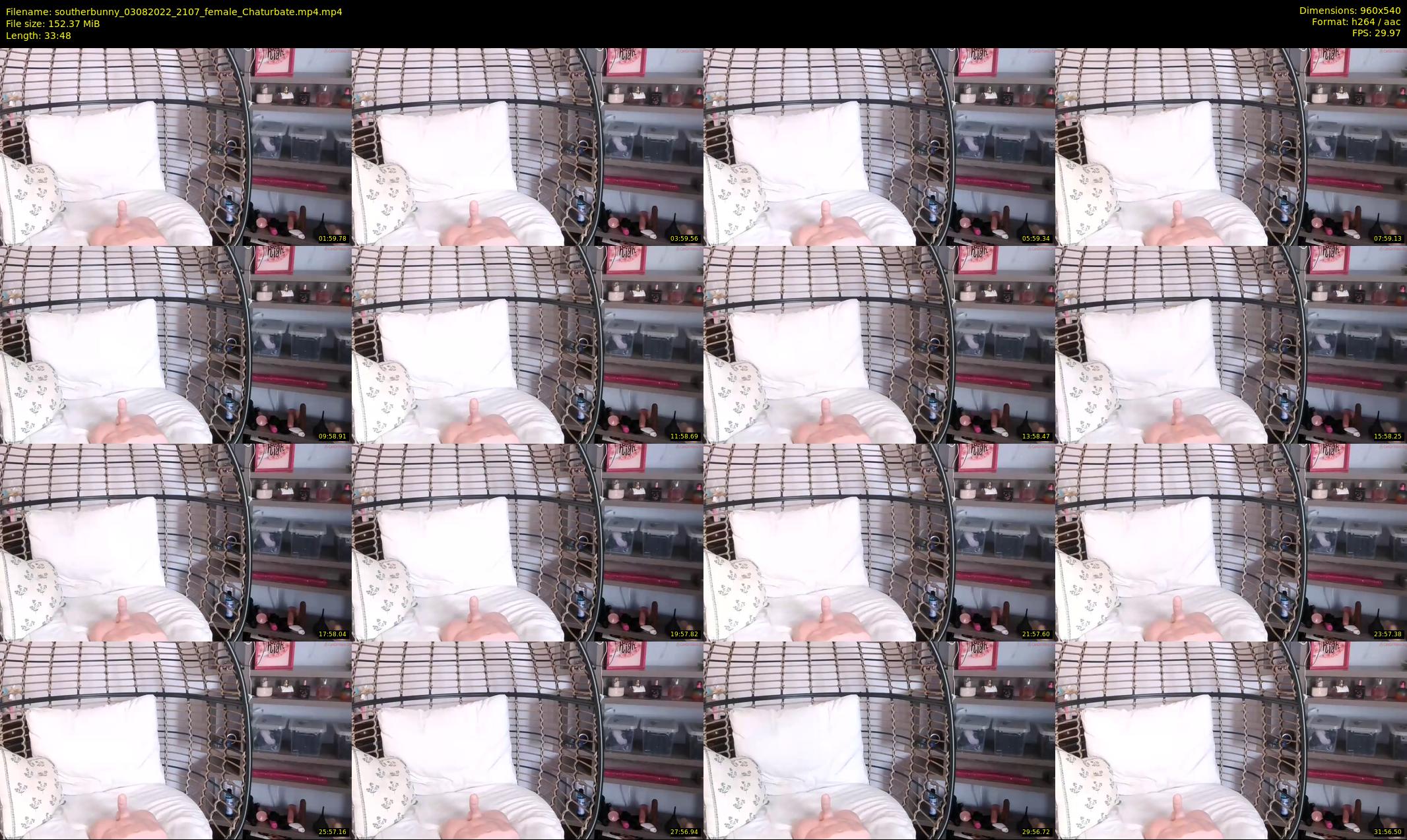southerbunny — 34 minute Chaturbate female cam show recording, 480p, Aug 3, 2022
