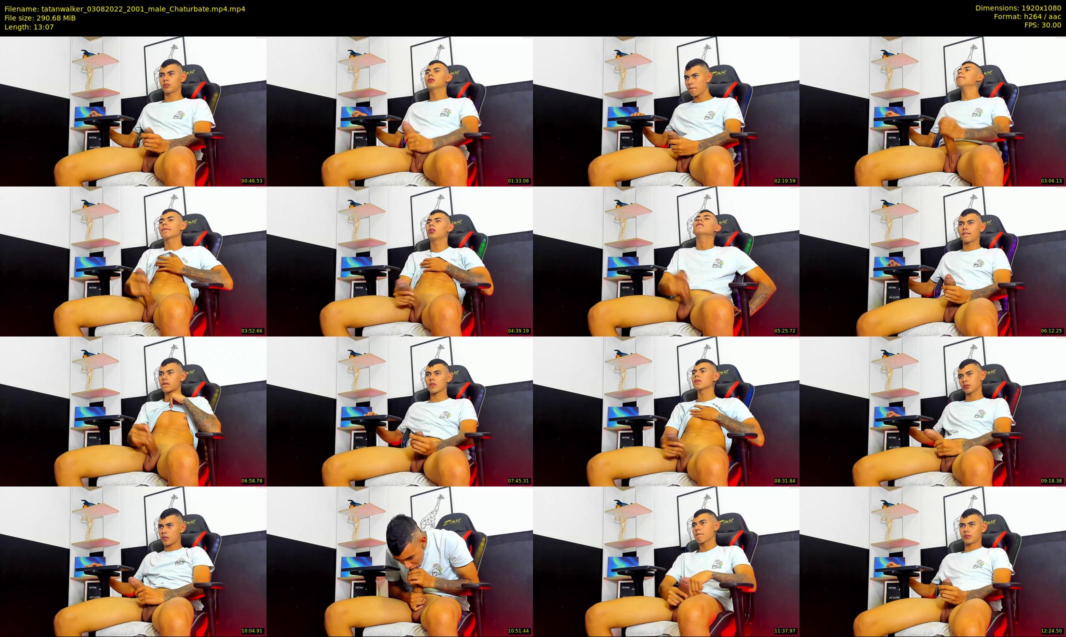 tatanwalker — 14 minute Chaturbate male cam show recording, 1080p, Aug 3, 2022