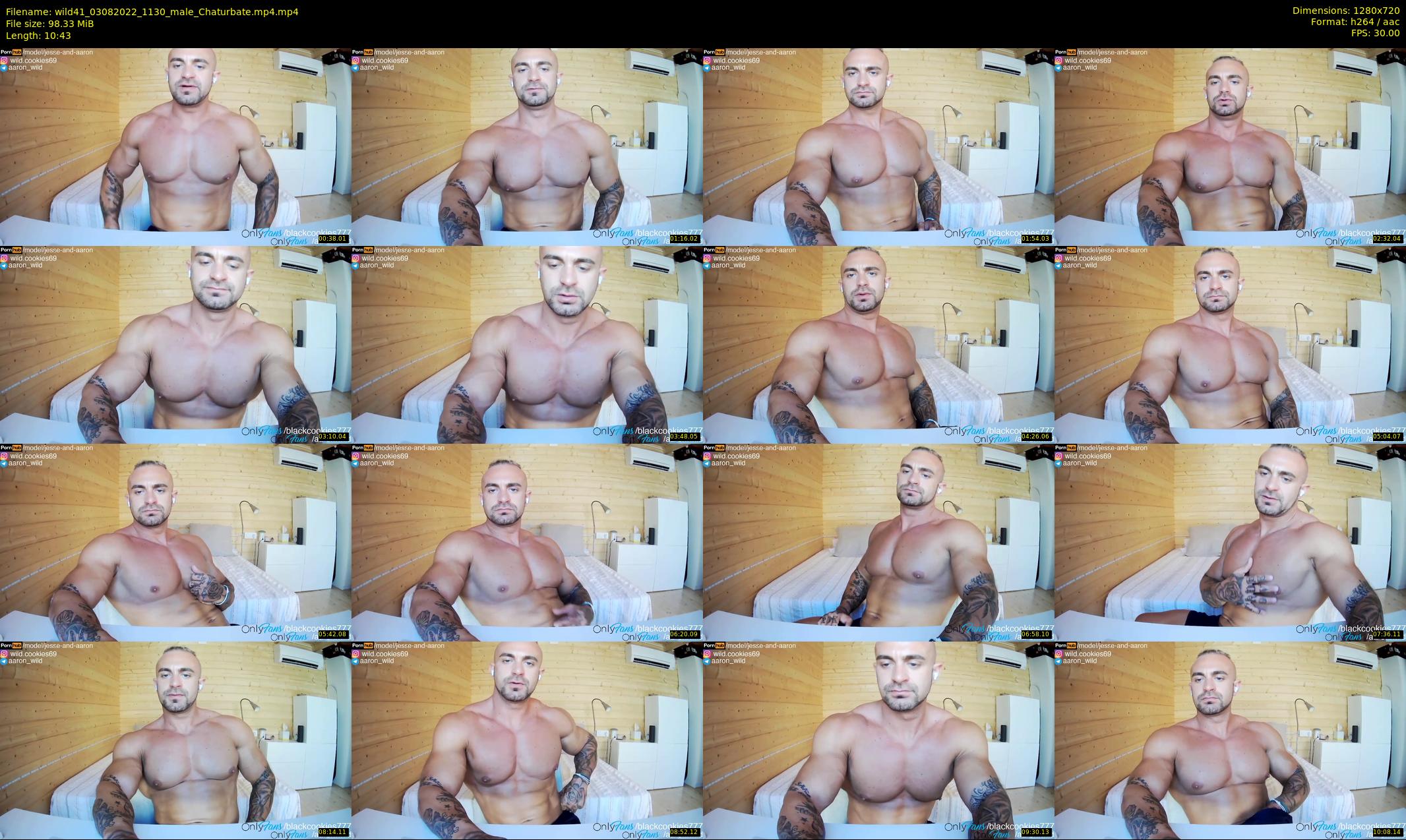 wild41 — 11 minute Chaturbate couple cam show recording, 720p, Aug 3, 2022