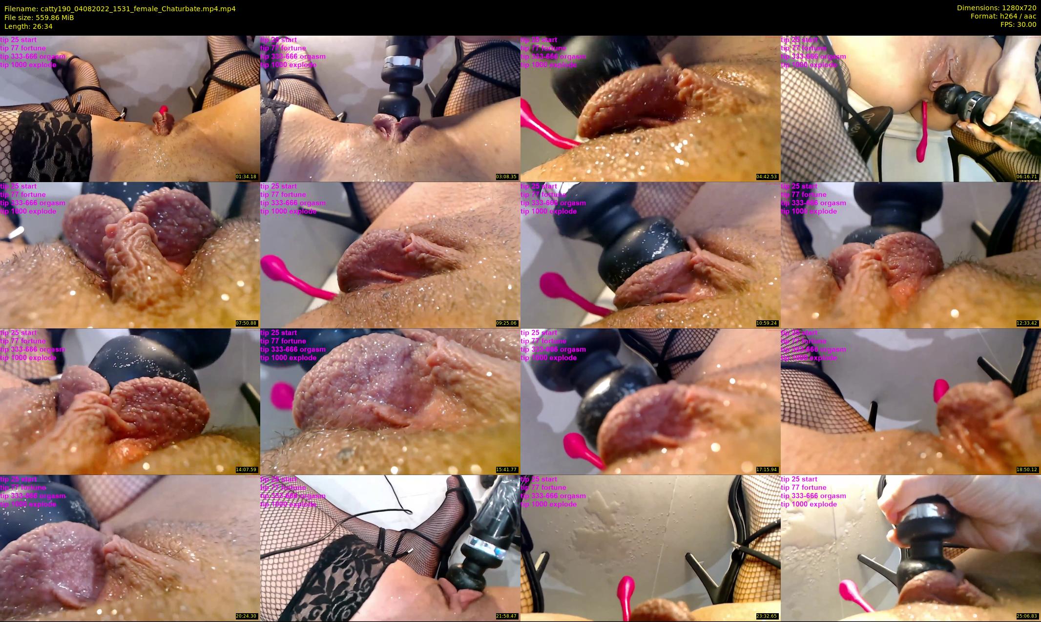 catty190 — 27 minute Chaturbate female cam show recording, 720p, Aug 4, 2022