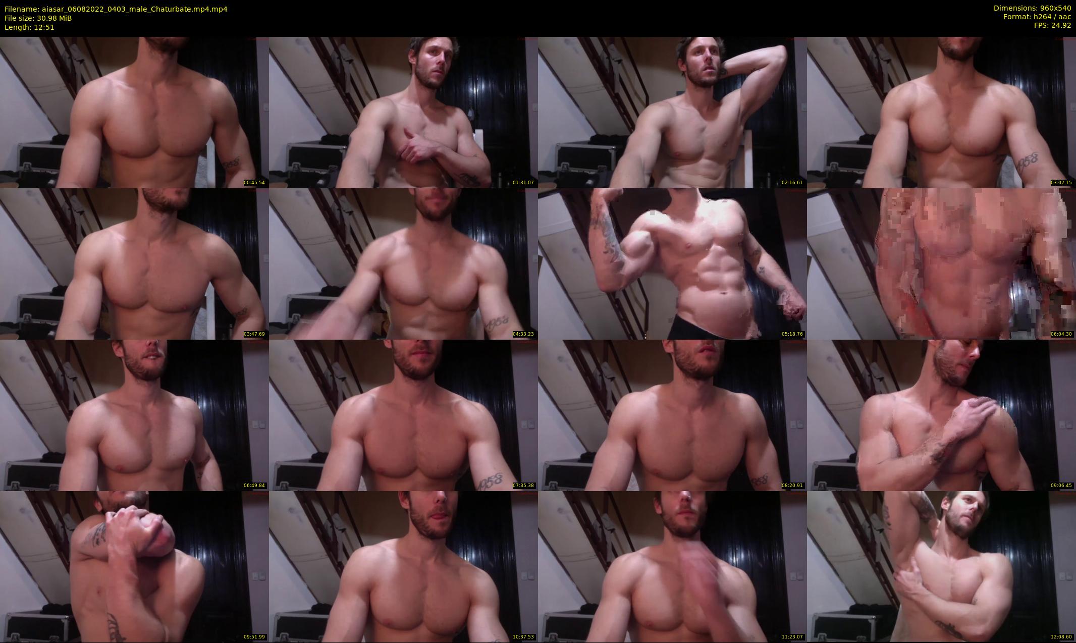 aiasar — 13 minute Chaturbate male cam show recording, 480p, Aug 6, 2022