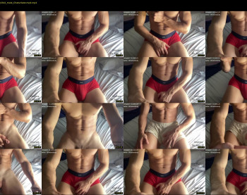 bestdick1991 — 91 minute Chaturbate male cam show recording, 720p, Aug 6, 2022