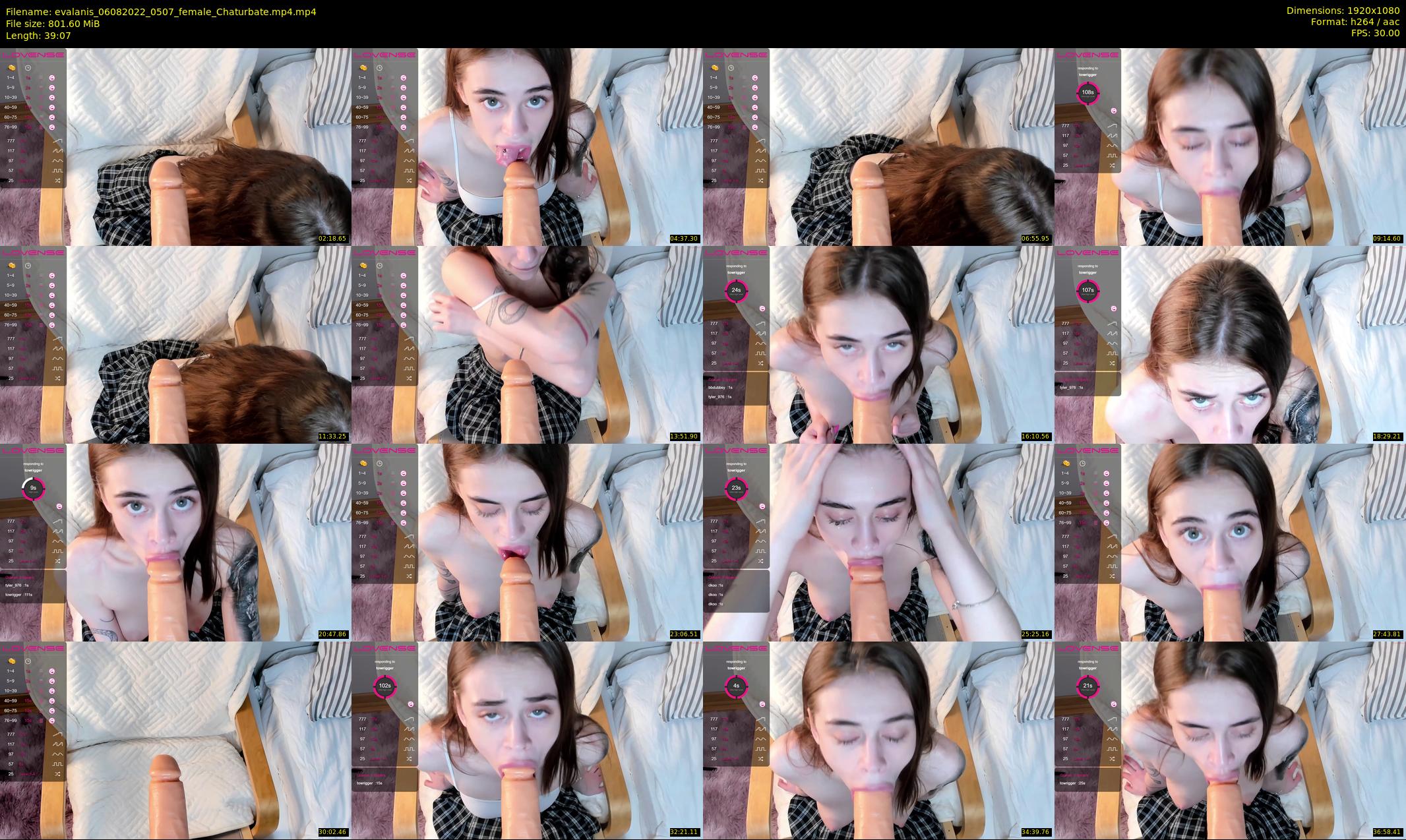 evalanis — 40 minute Chaturbate couple cam show recording, 1080p, Aug 6, 2022