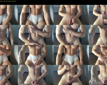 bestdick1991 — 25 minute Chaturbate male cam show recording, 720p, Aug 7, 2022
