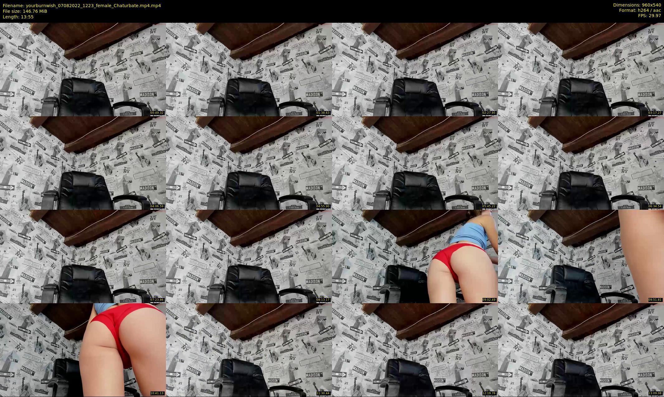 yourburnwish — 14 minute Chaturbate female cam show recording, 480p, Aug 7, 2022