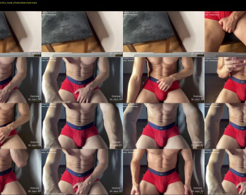 bestdick1991 — 9 minute Chaturbate male cam show recording, 720p, Aug 9, 2022