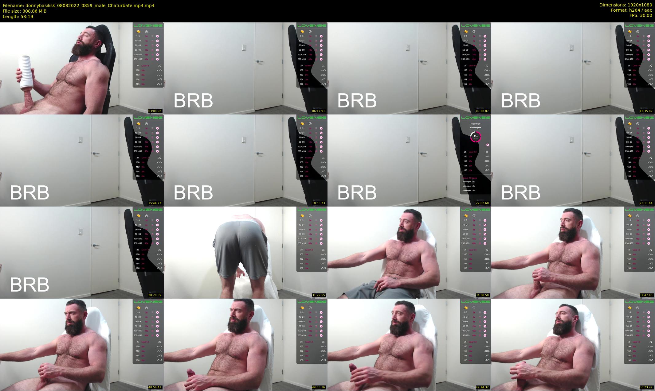 donnybasilisk — 54 minute Chaturbate male cam show recording, 1080p, Aug 8, 2022