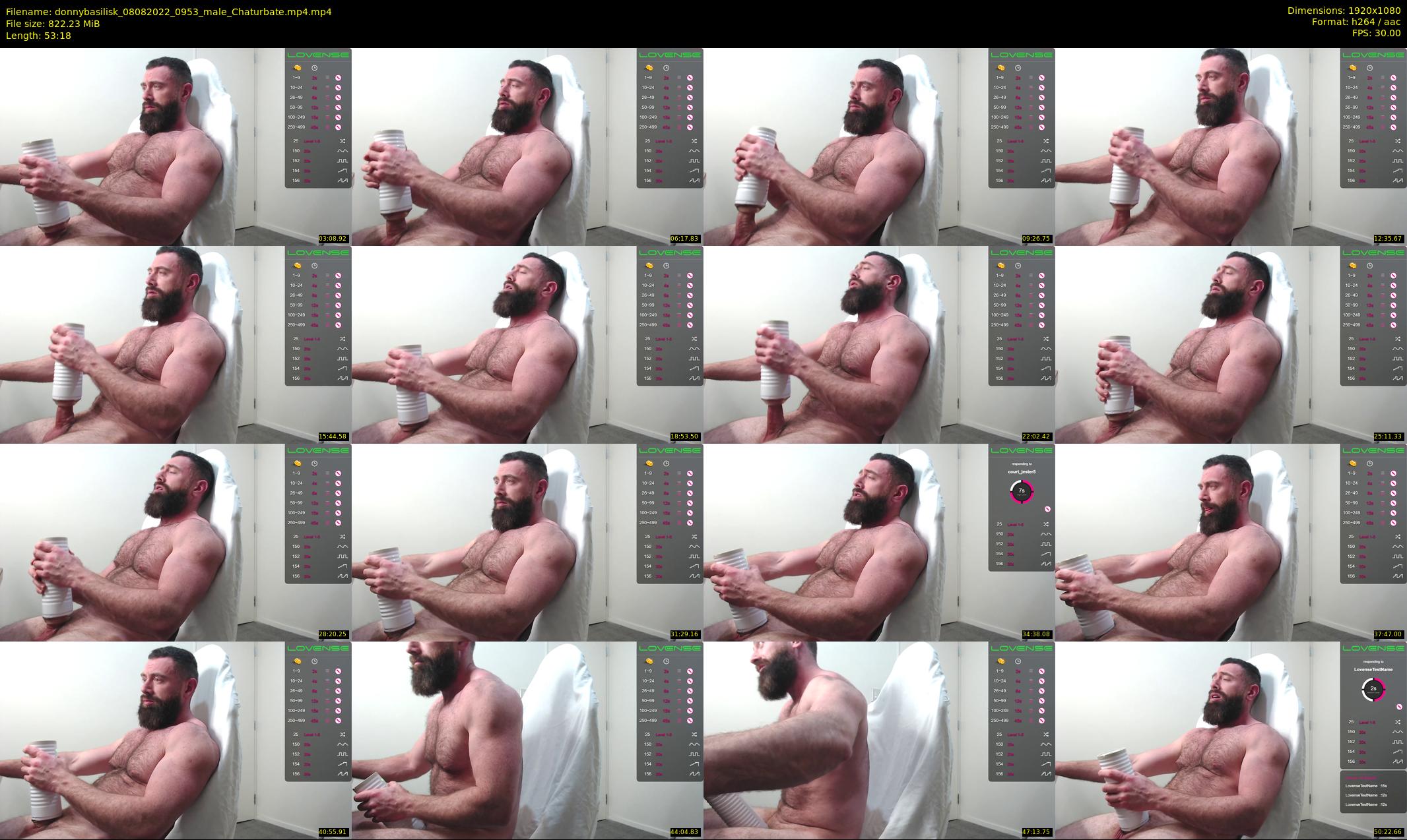 donnybasilisk — 54 minute Chaturbate male cam show recording, 1080p, Aug 8, 2022