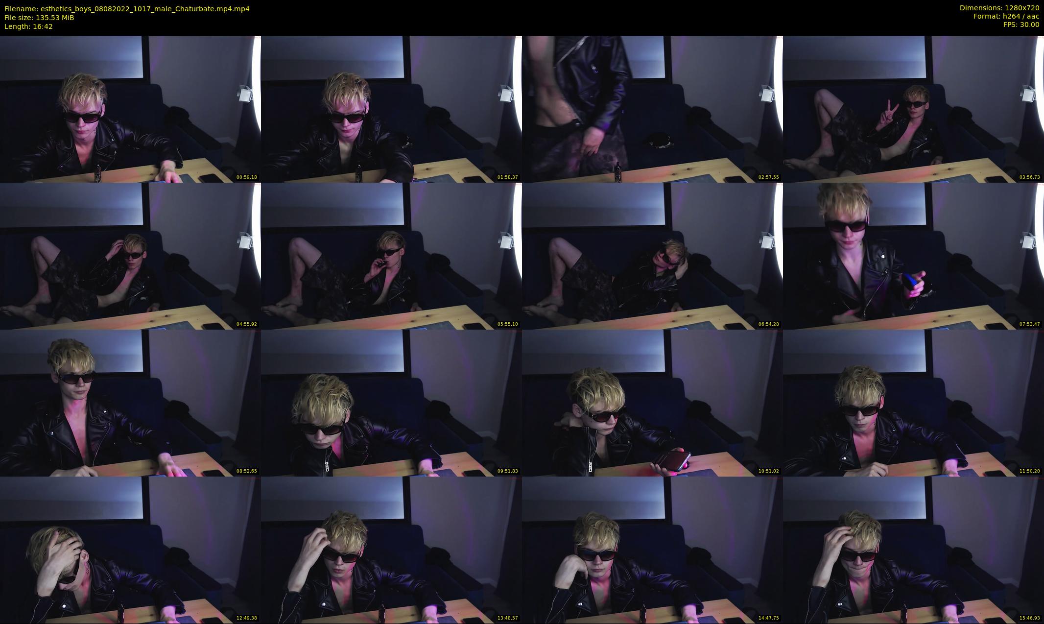 esthetics_boys — 17 minute Chaturbate male cam show recording, 720p, Aug 8, 2022