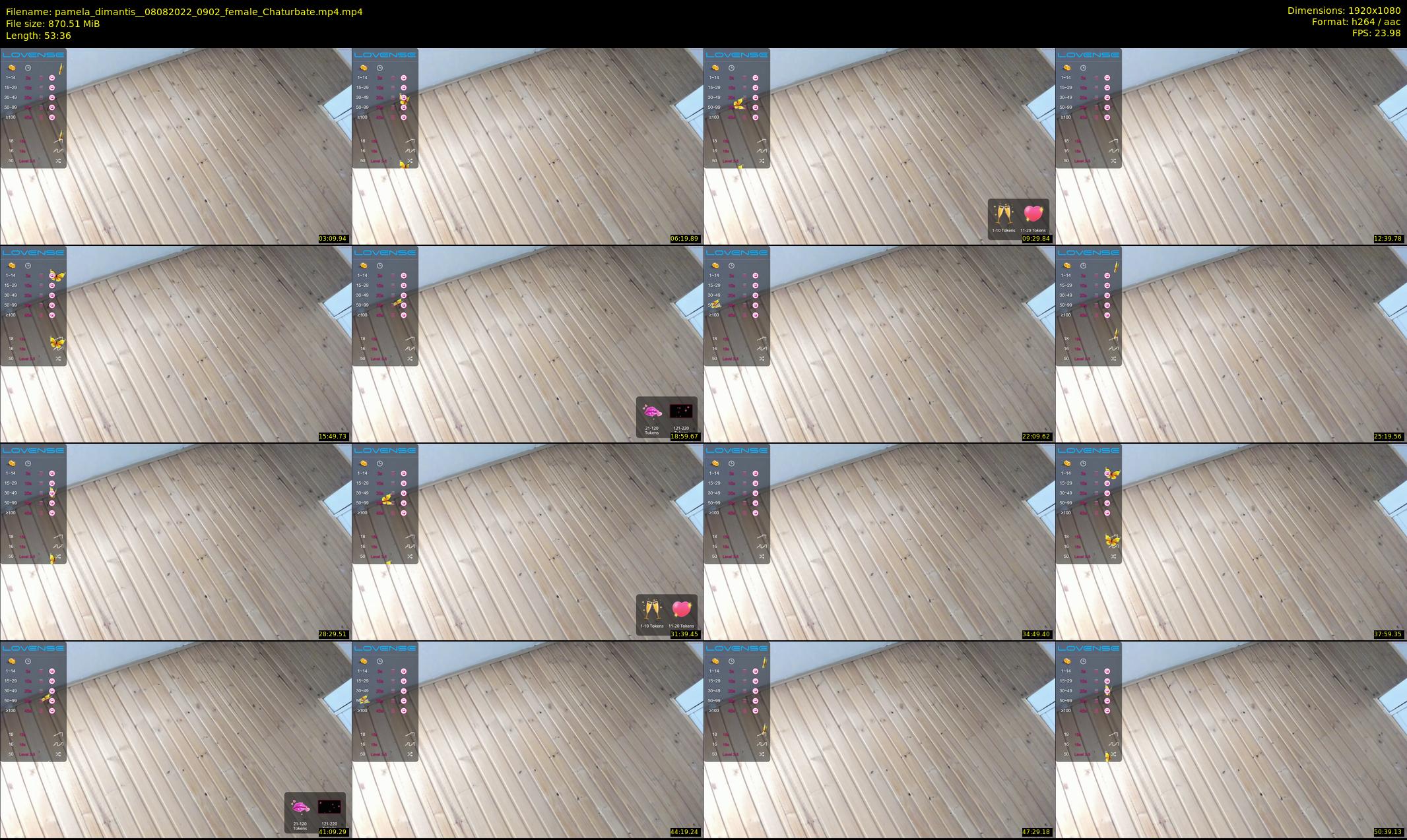 pamela_dimantis_ — 54 minute Chaturbate female cam show recording, 1080p, Aug 8, 2022