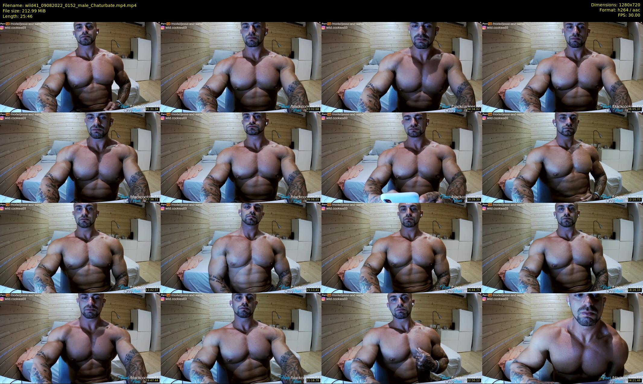 wild41 — 26 minute Chaturbate couple cam show recording, 720p, Aug 9, 2022