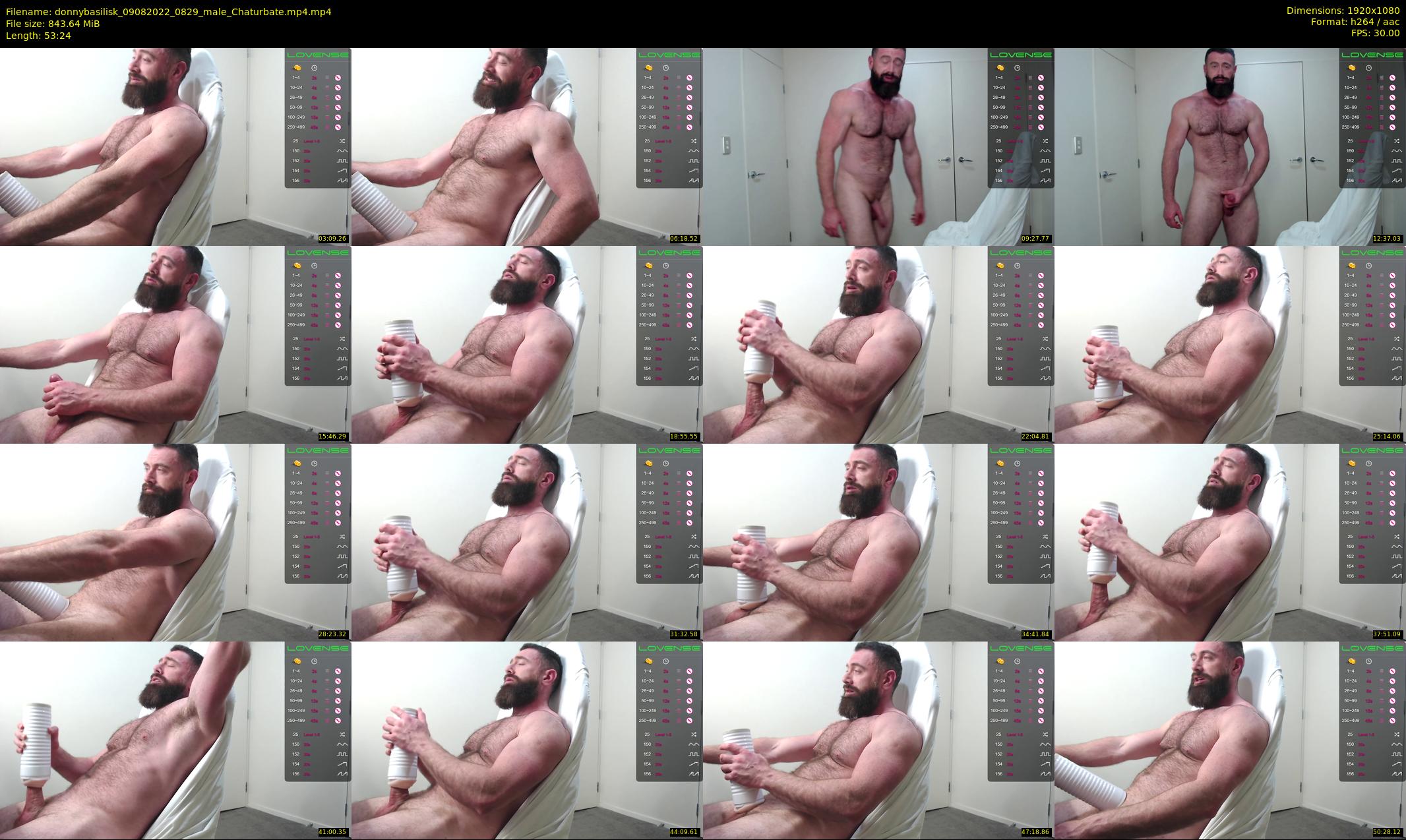 donnybasilisk — 54 minute Chaturbate male cam show recording, 1080p, Aug 9, 2022