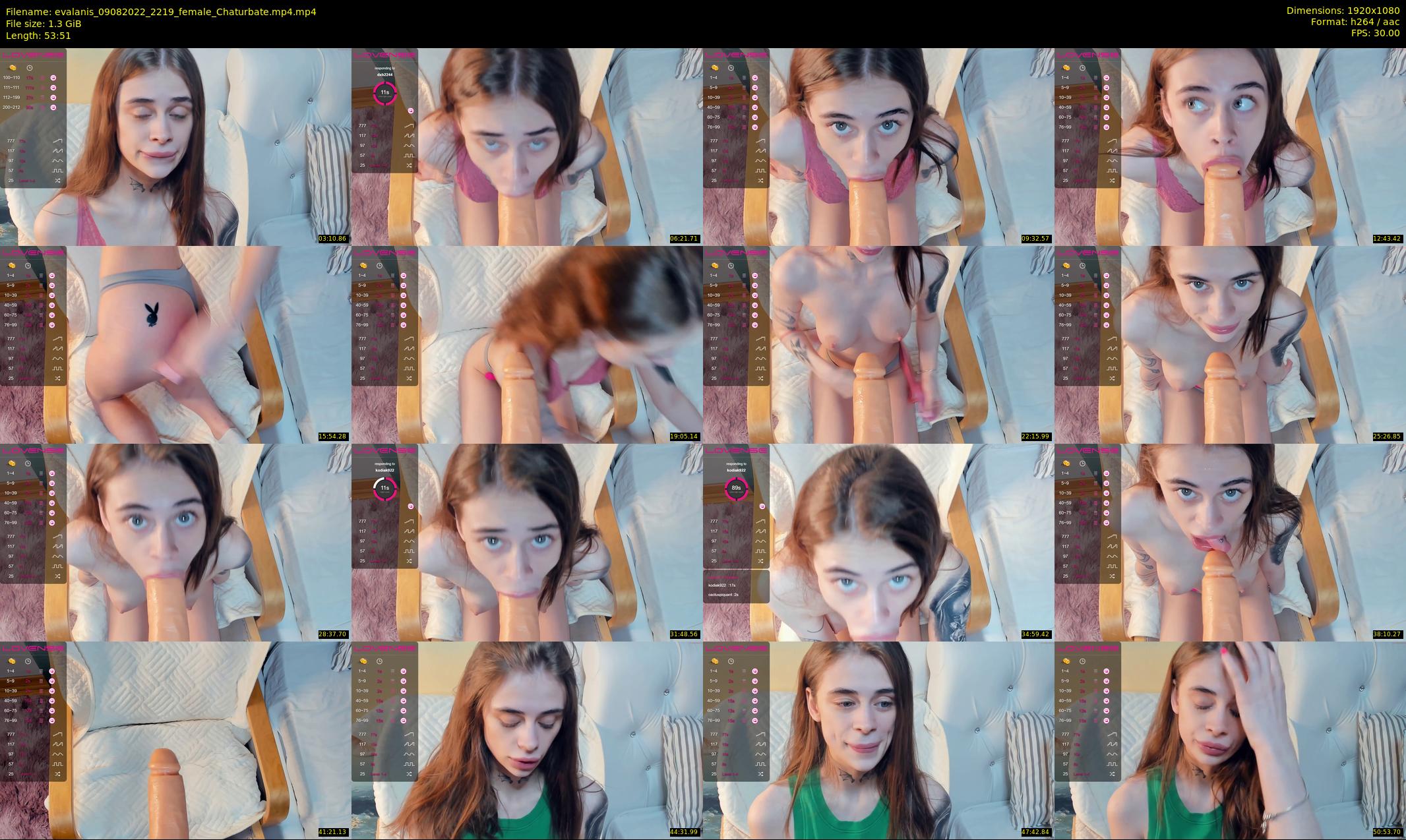 evalanis — 54 minute Chaturbate couple cam show recording, 1080p, Aug 9, 2022