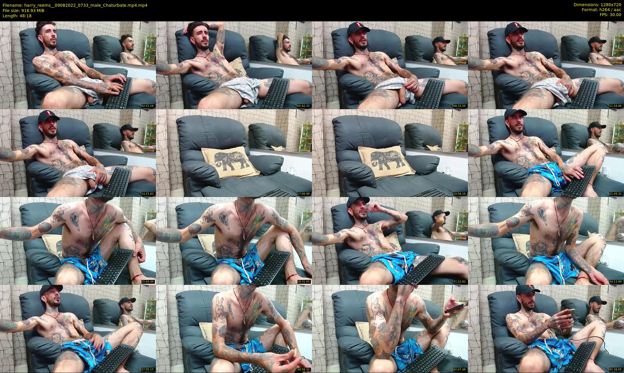 harry_reems_ — 49 minute Chaturbate male cam show recording, 720p, Aug 9, 2022
