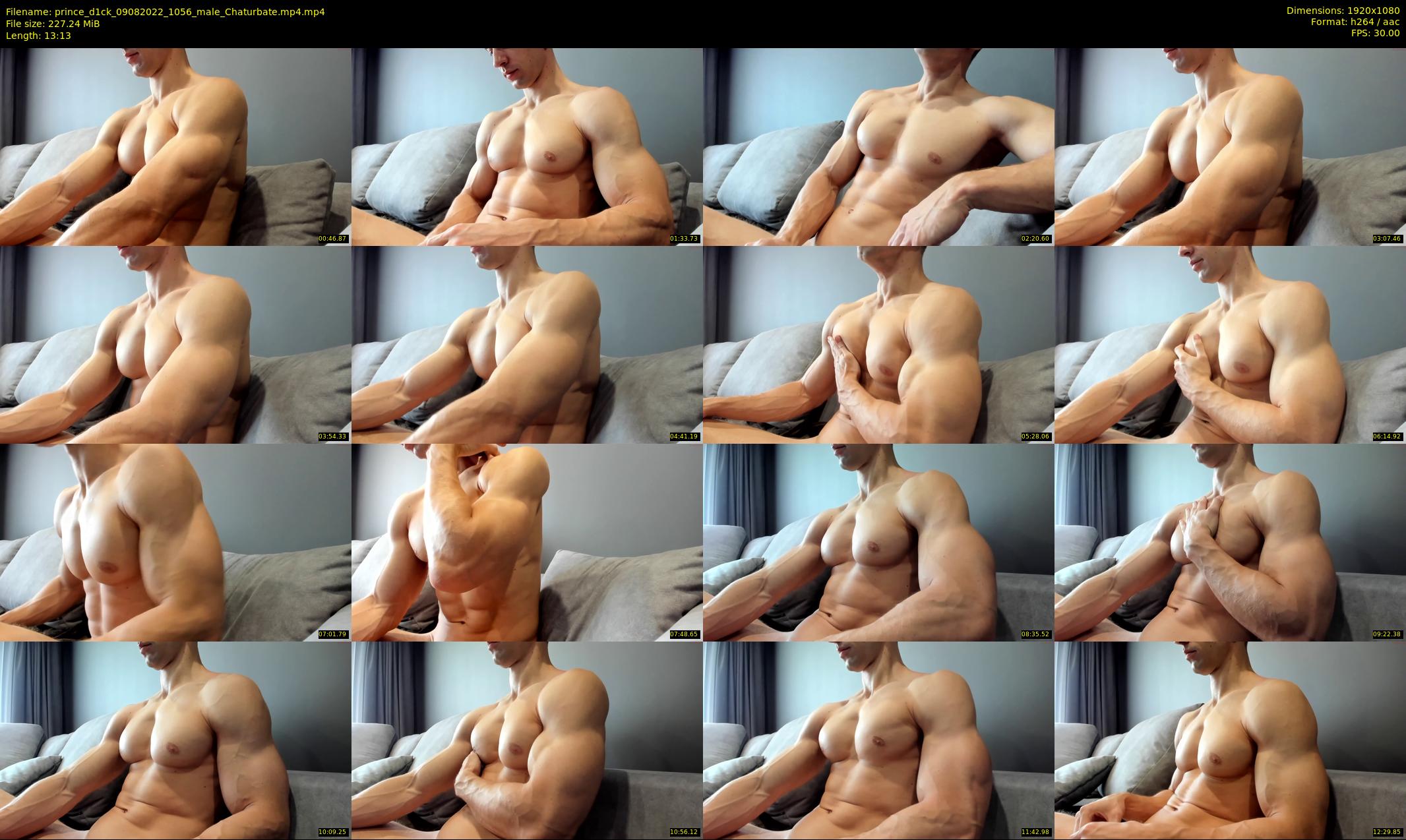 prince_d1ck — 14 minute Chaturbate male cam show recording, 1080p, Aug 9, 2022