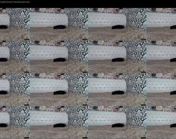 victoria_carterr — 15 minute Chaturbate female cam show recording, 1080p, Aug 10, 2022