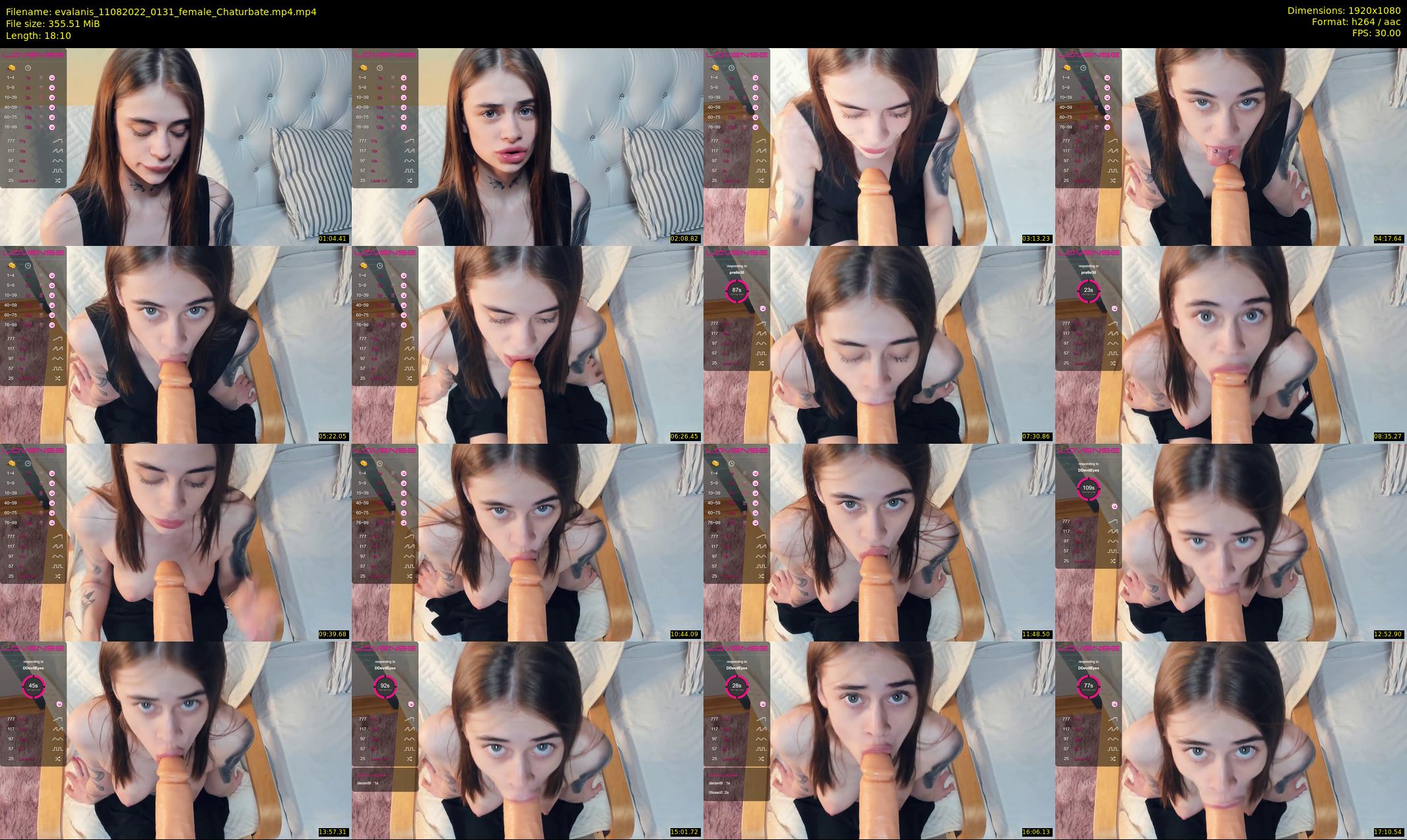 evalanis — 19 minute Chaturbate couple cam show recording, 1080p, Aug 11, 2022