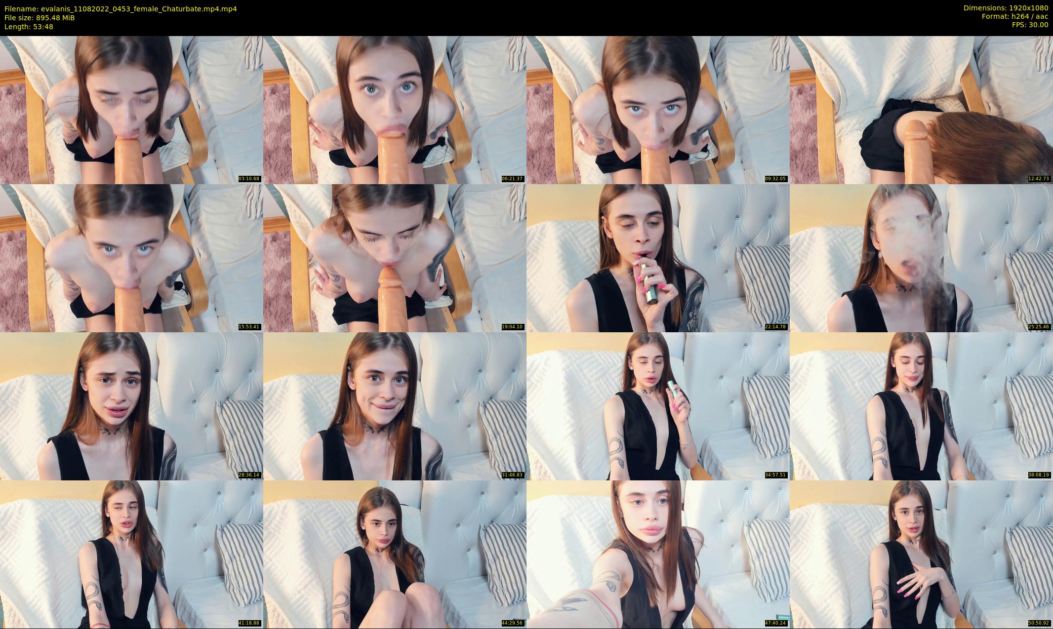 evalanis — 54 minute Chaturbate couple cam show recording, 1080p, Aug 11, 2022