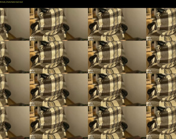 ps4pro — 56 minute Chaturbate female cam show recording, 1080p, Aug 10, 2022
