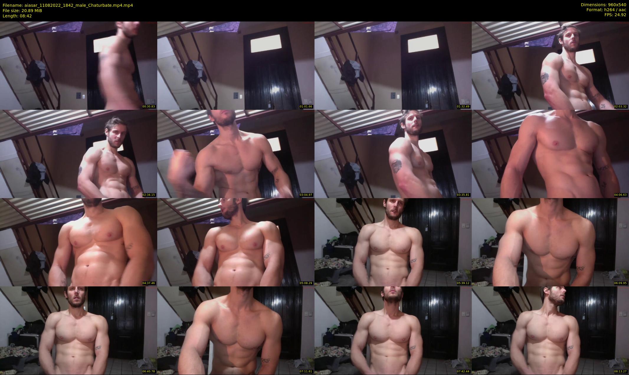 aiasar — 9 minute Chaturbate male cam show recording, 480p, Aug 11, 2022