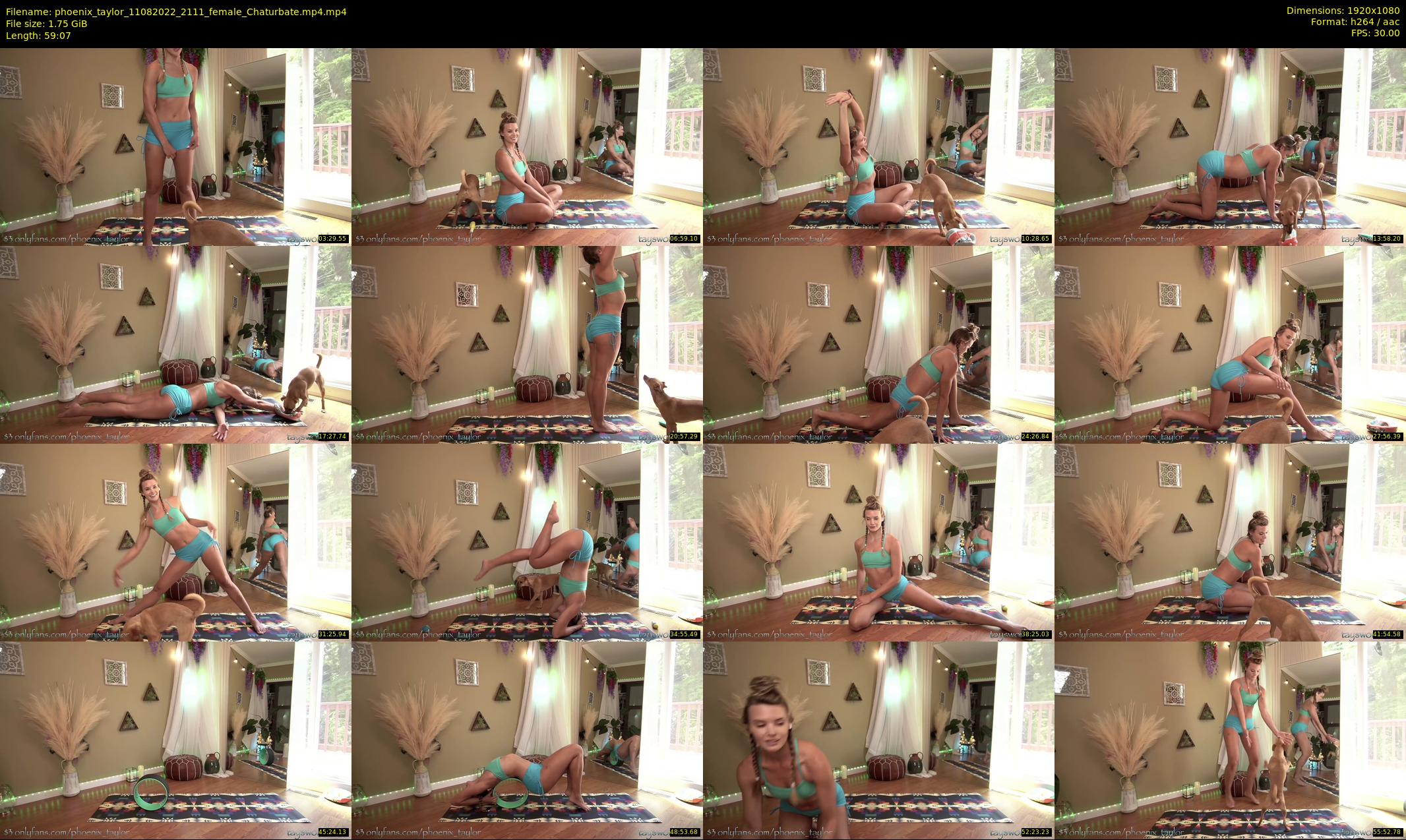 phoenix_taylor — 60 minute Chaturbate female cam show recording, 1080p, Aug 11, 2022