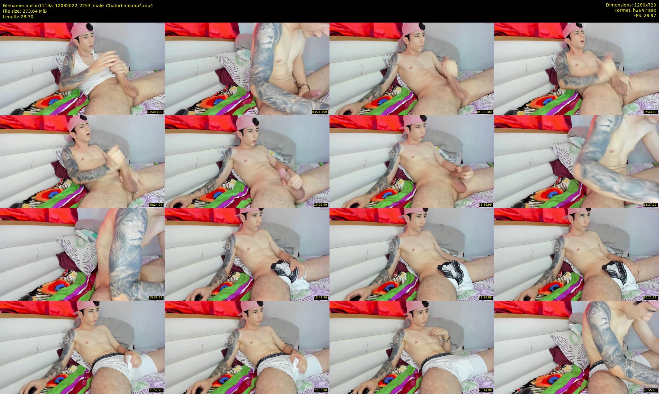 austin1119a — 29 minute Chaturbate male cam show recording, 720p, Aug 12, 2022