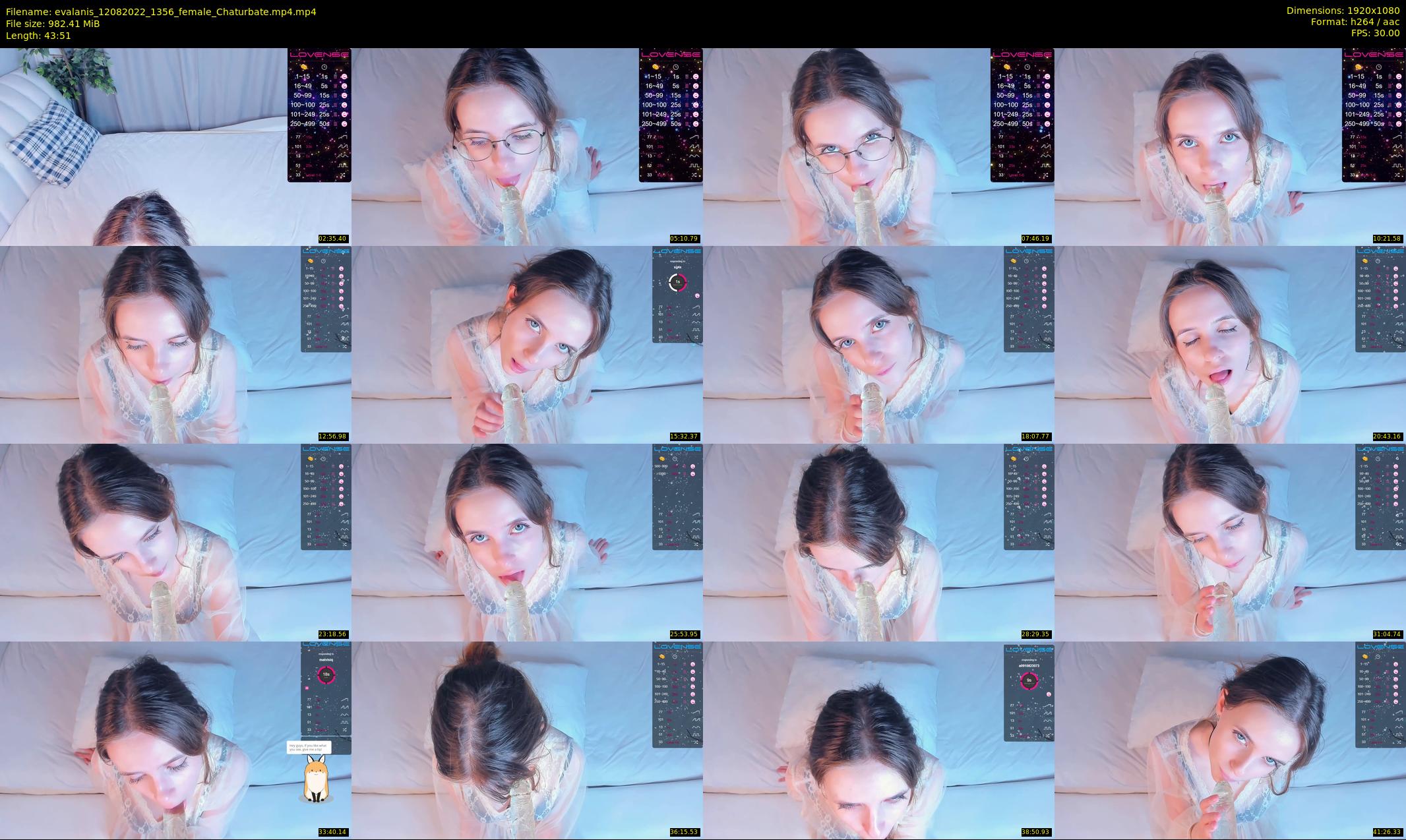evalanis — 44 minute Chaturbate couple cam show recording, 1080p, Aug 12, 2022