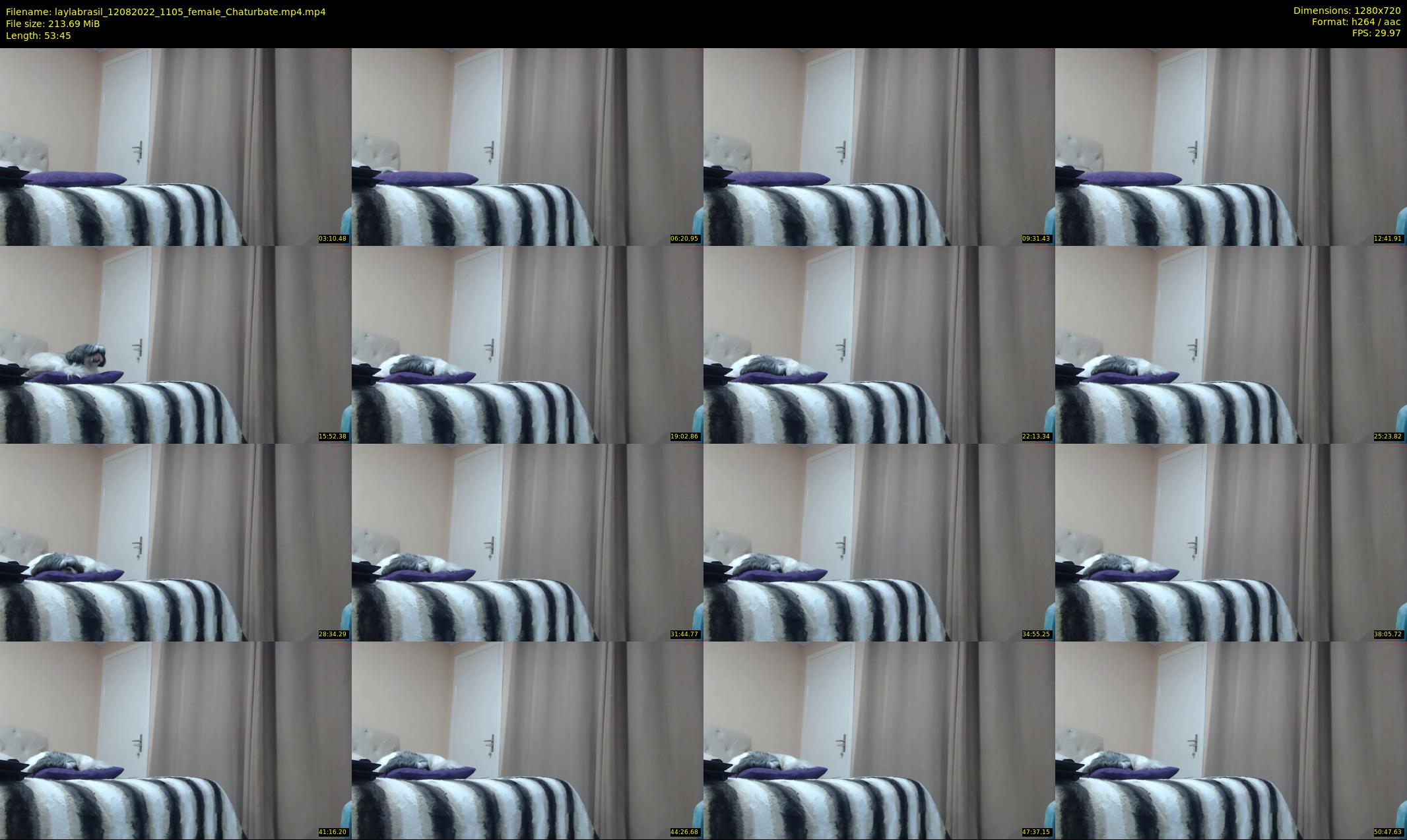 laylabrasil — 54 minute Chaturbate female cam show recording, 720p, Aug 12, 2022
