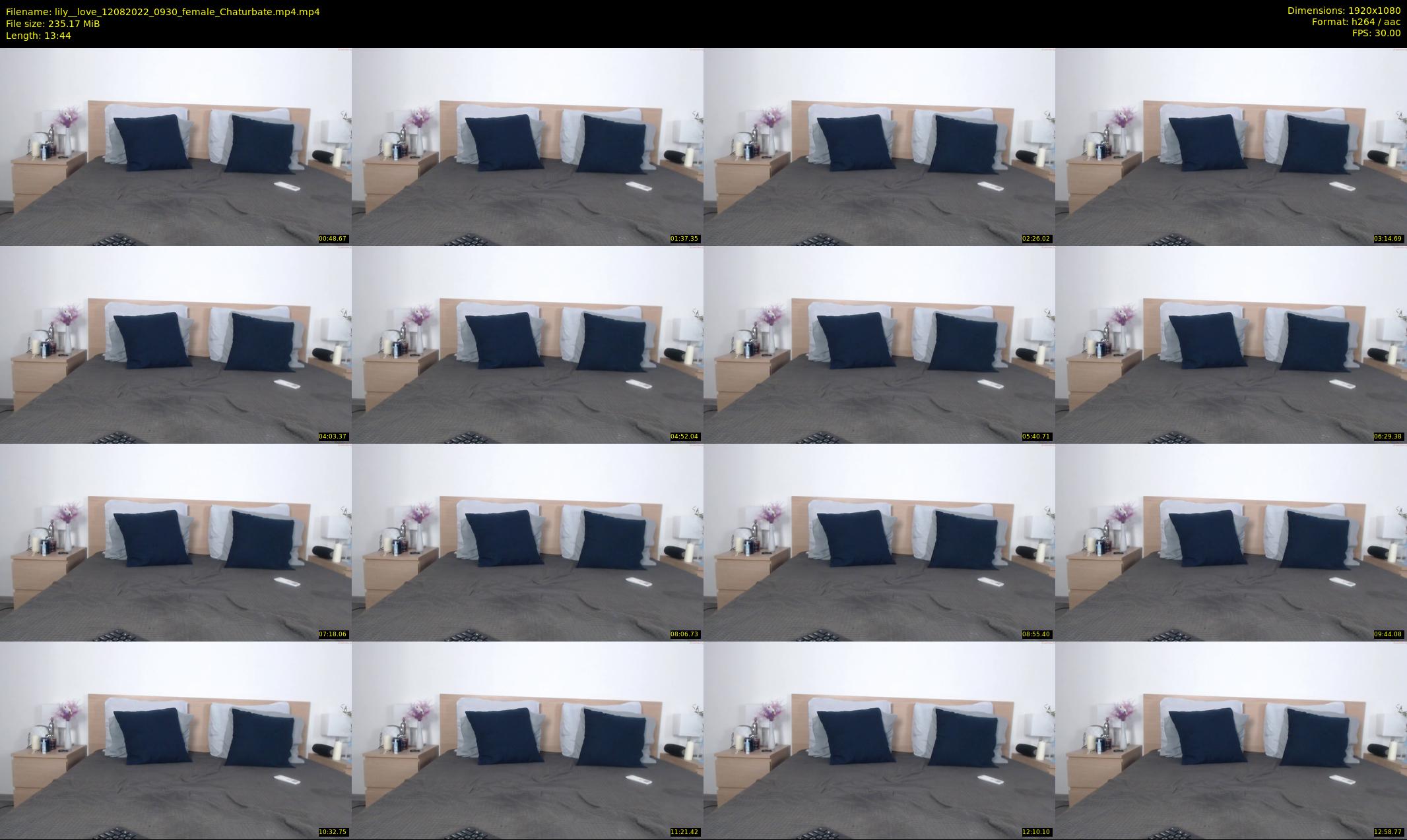 lily__love — 14 minute Chaturbate female cam show recording, 1080p, Aug 12, 2022