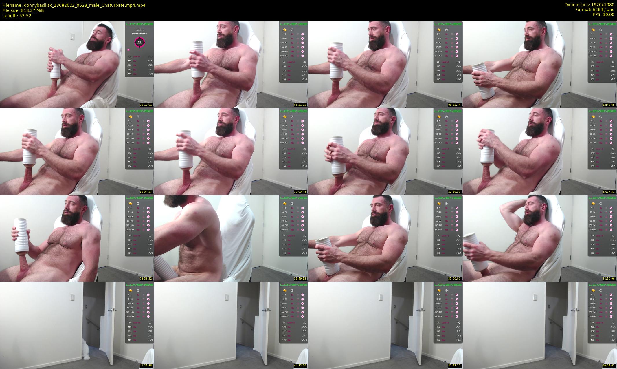 donnybasilisk — 54 minute Chaturbate male cam show recording, 1080p, Aug 13, 2022