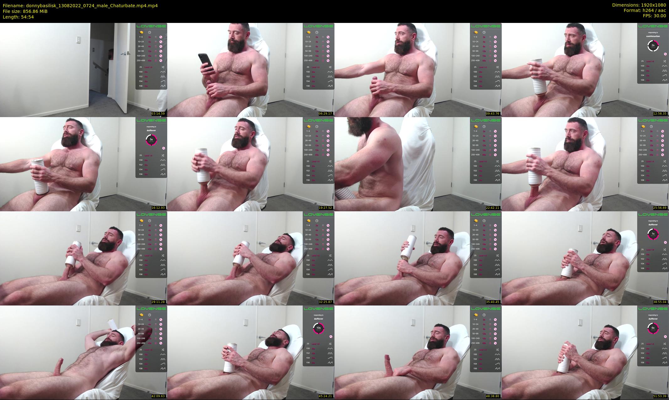 donnybasilisk — 55 minute Chaturbate male cam show recording, 1080p, Aug 13, 2022