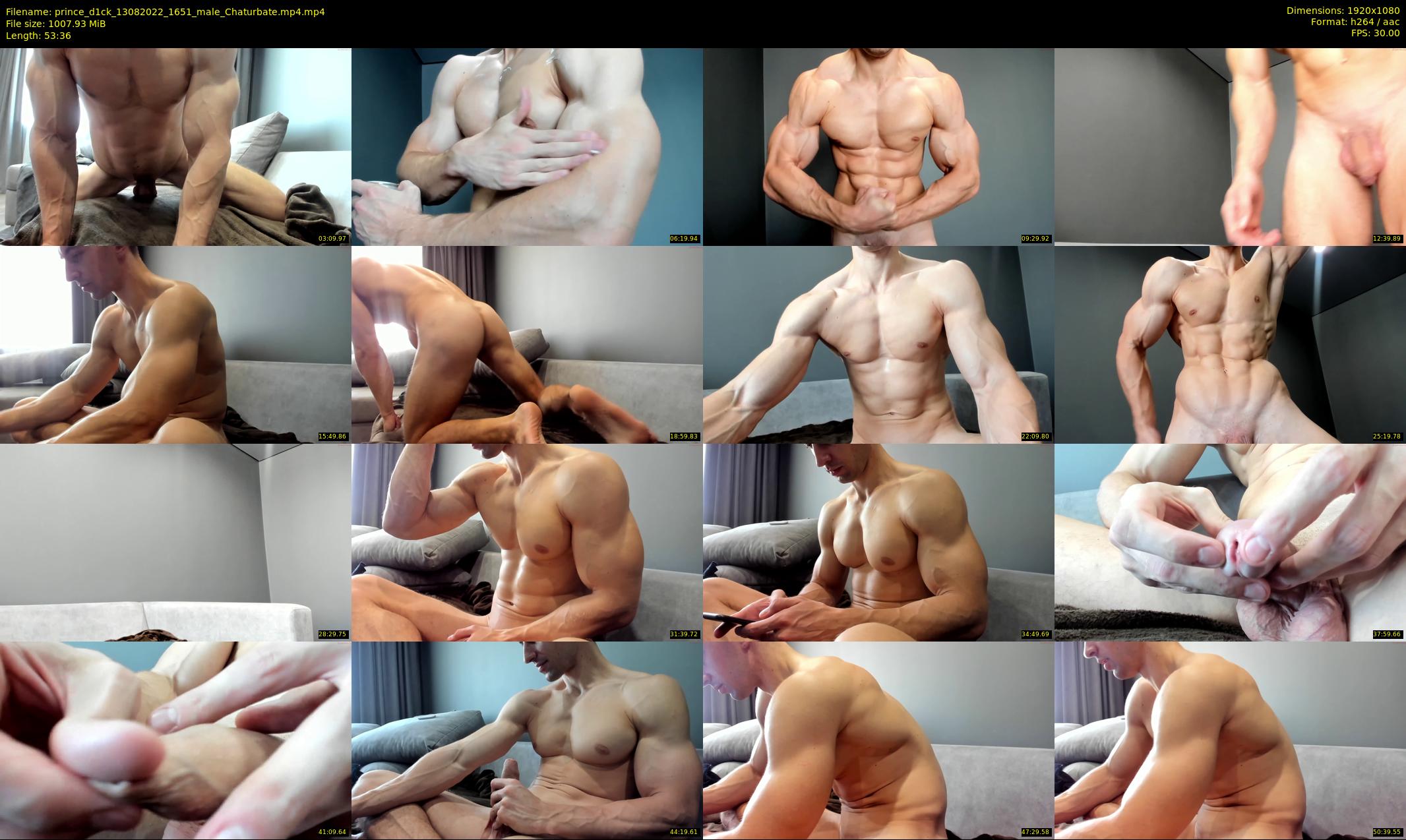 prince_d1ck — 54 minute Chaturbate male cam show recording, 1080p, Aug 13, 2022
