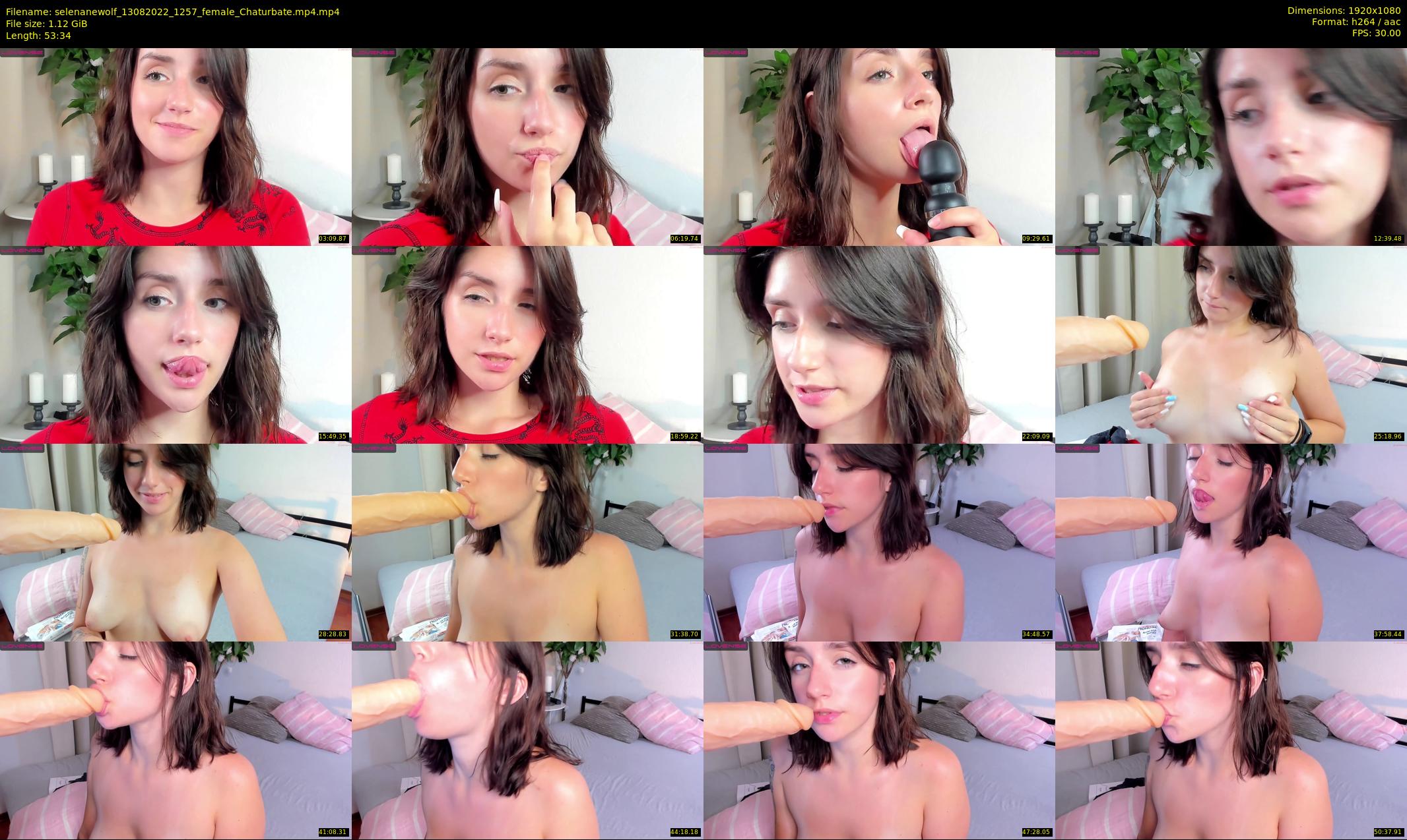 selenanewolf — 54 minute Chaturbate couple cam show recording, 1080p, Aug 13, 2022