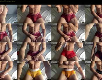 bestdick1991 — 91 minute Chaturbate male cam show recording, 720p, Aug 15, 2022