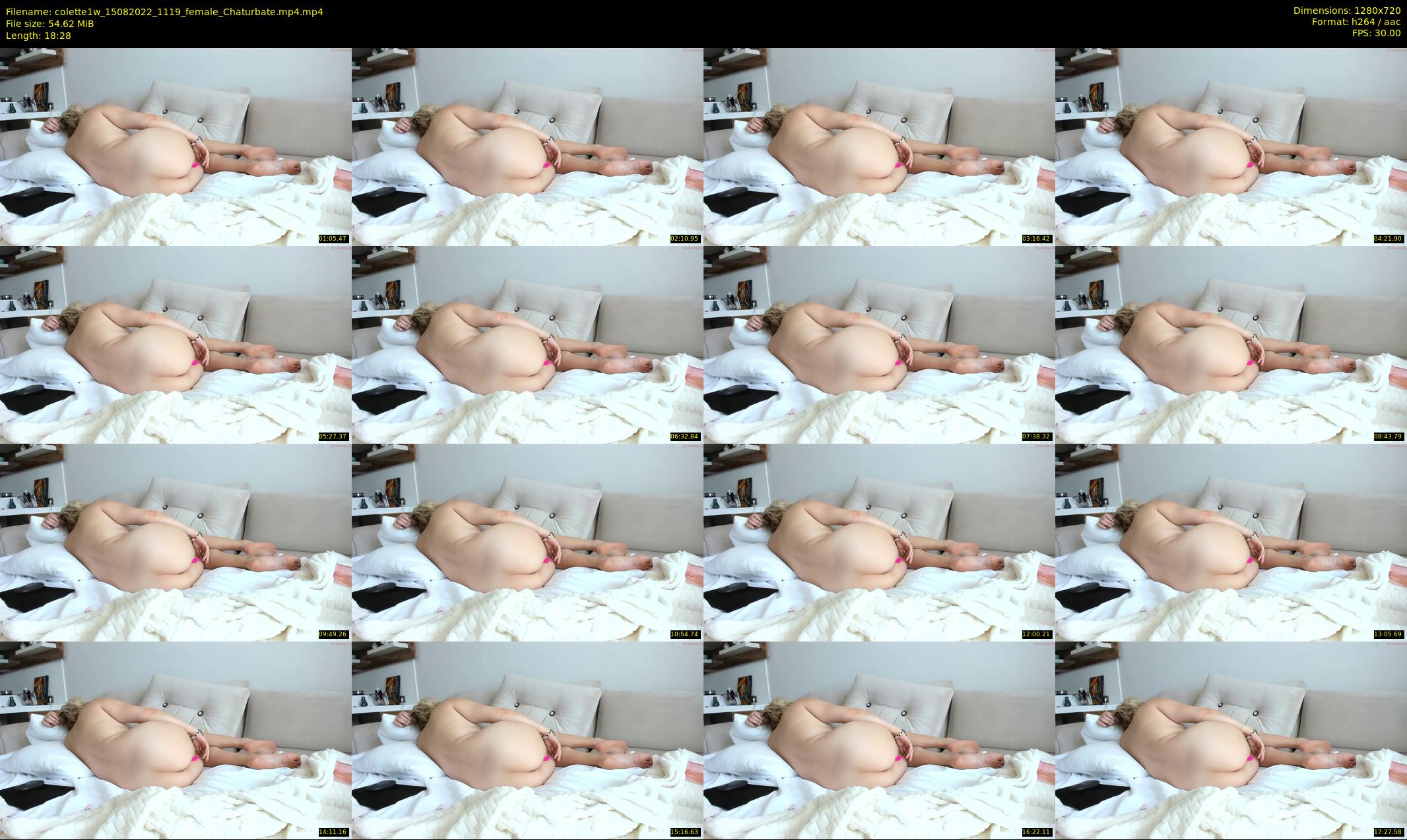 colette1w — 19 minute Chaturbate female cam show recording, 720p, Aug 15, 2022