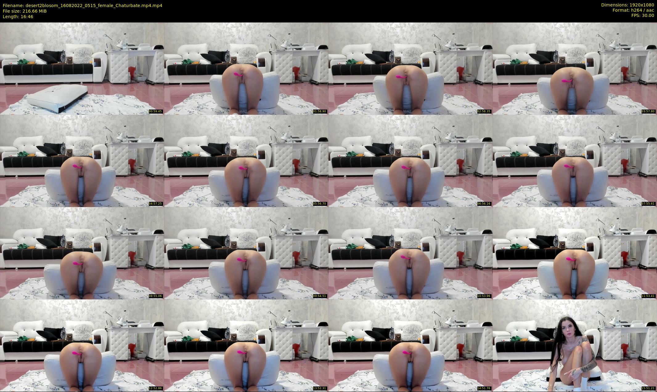 desert2blosom — 17 minute Chaturbate female cam show recording, 1080p, Aug 16, 2022