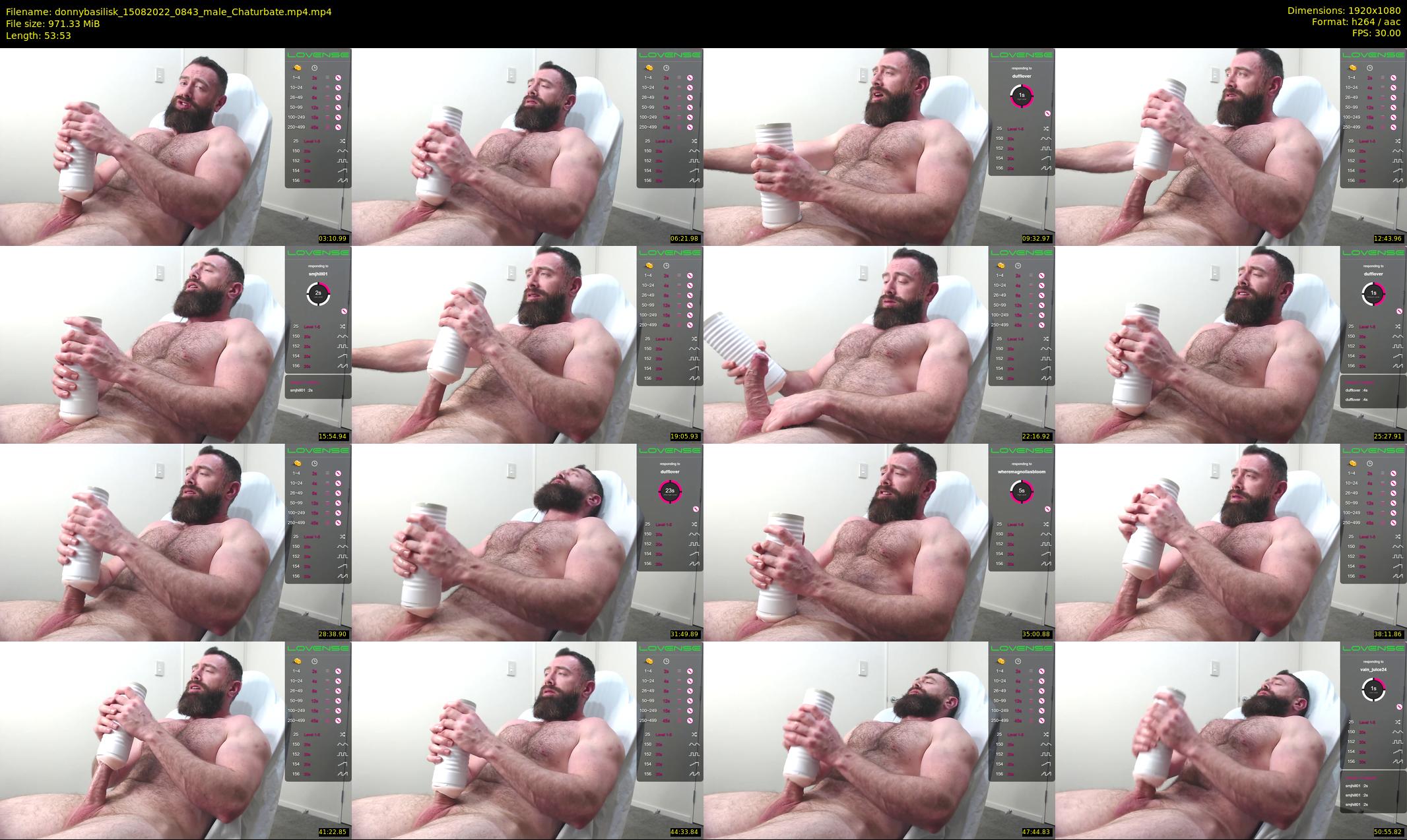 donnybasilisk — 54 minute Chaturbate male cam show recording, 1080p, Aug 15, 2022