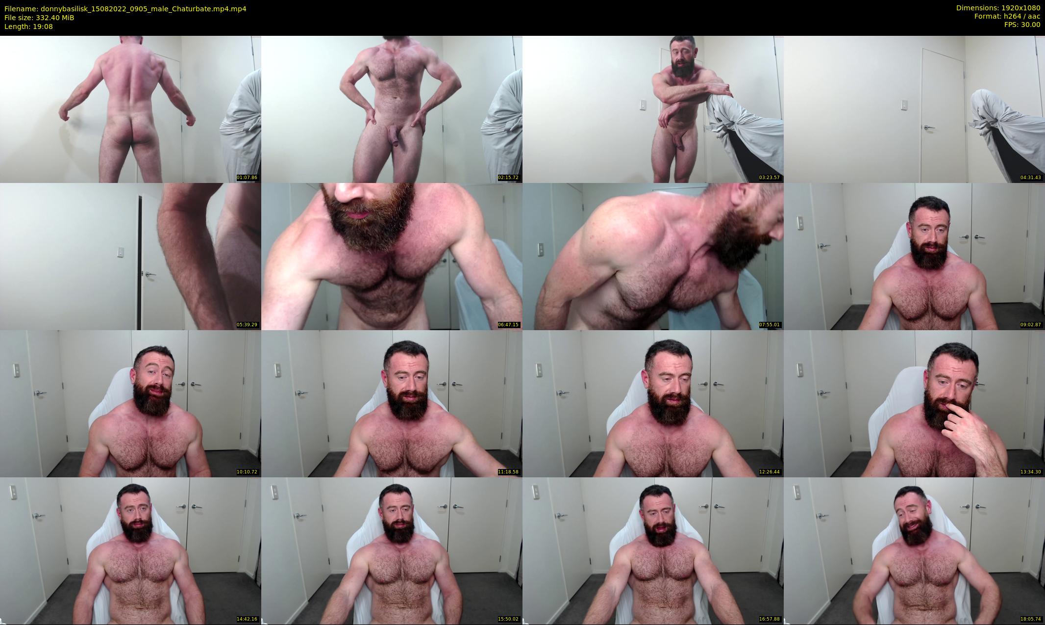 donnybasilisk — 20 minute Chaturbate male cam show recording, 1080p, Aug 15, 2022