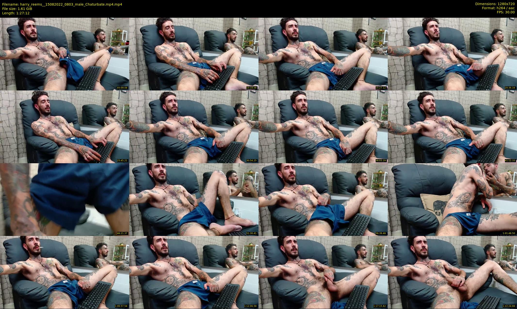 harry_reems_ — 88 minute Chaturbate male cam show recording, 720p, Aug 15, 2022