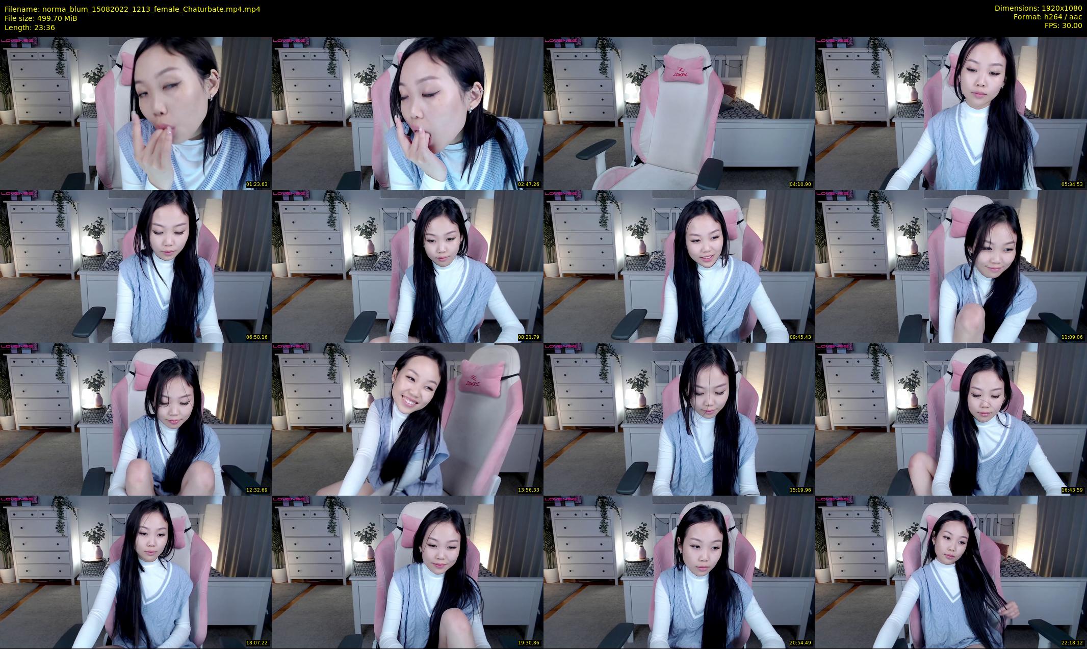 norma_blum — 24 minute Chaturbate female cam show recording, 1080p, Aug 15, 2022