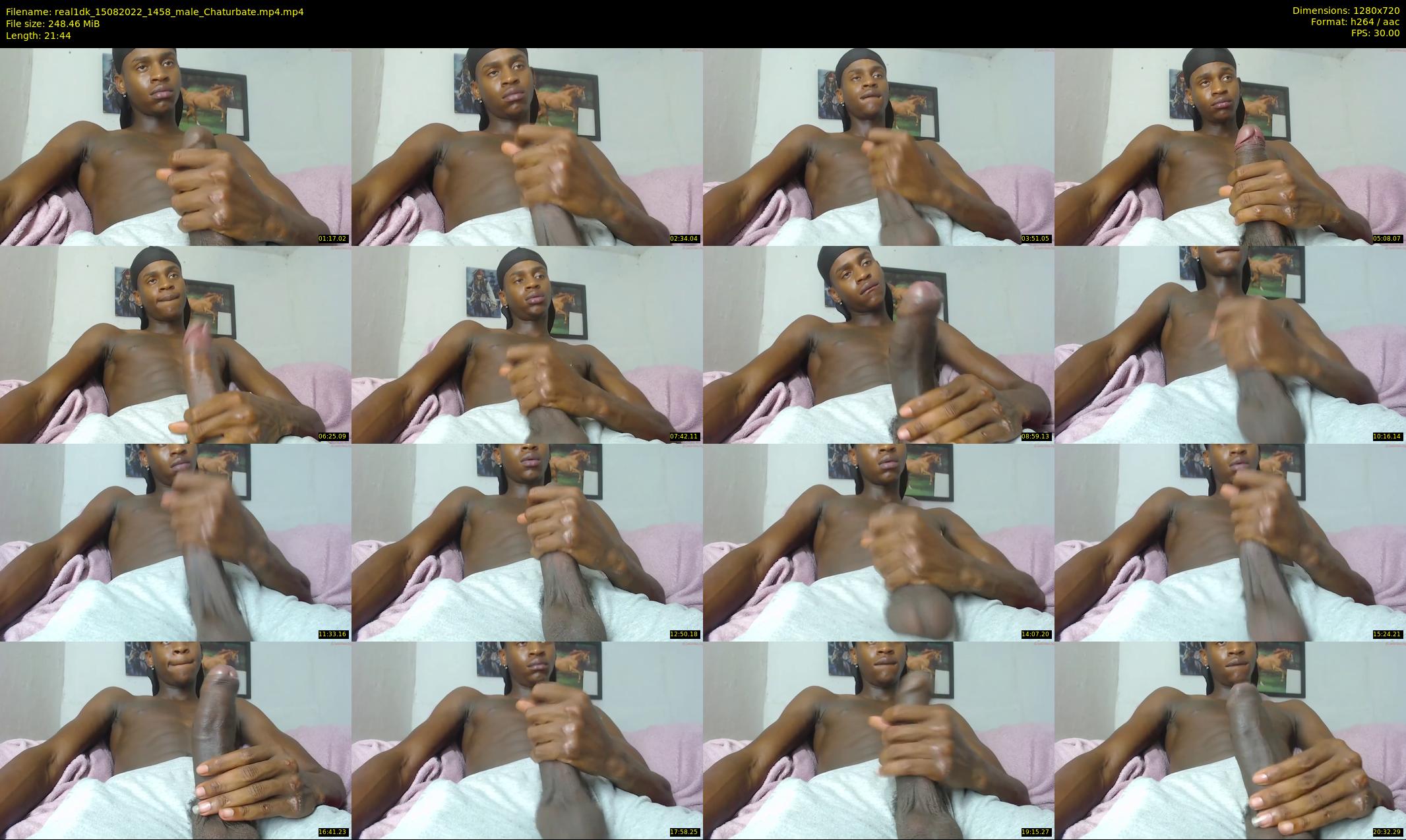real1dk — 22 minute Chaturbate male cam show recording, 720p, Aug 15, 2022