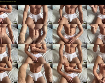 bestdick1991 — 91 minute Chaturbate male cam show recording, 720p, Aug 16, 2022
