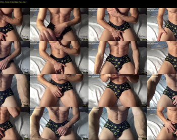 bestdick1991 — 38 minute Chaturbate male cam show recording, 720p, Aug 17, 2022