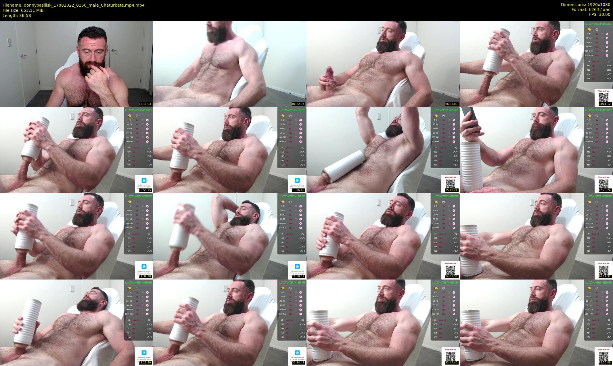 donnybasilisk — 37 minute Chaturbate male cam show recording, 1080p, Aug 17, 2022