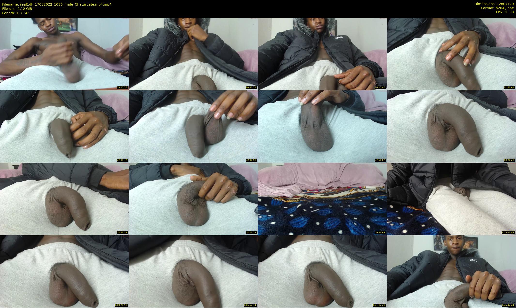 real1dk — 92 minute Chaturbate male cam show recording, 720p, Aug 17, 2022